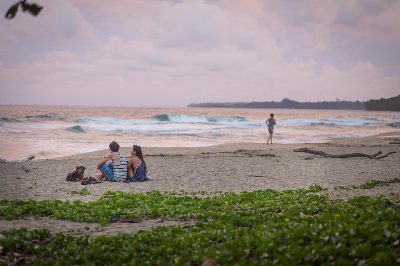 Playa 506 Beachfront Hostel Puerto Viejo de Talamanca Buitenkant foto